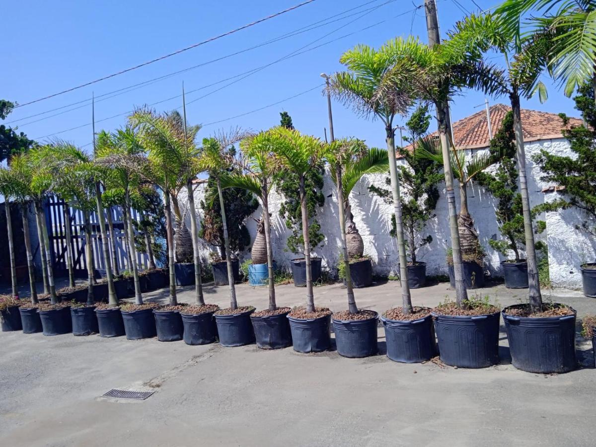 Pousada Sereia Jofisa Itanhaem Bagian luar foto